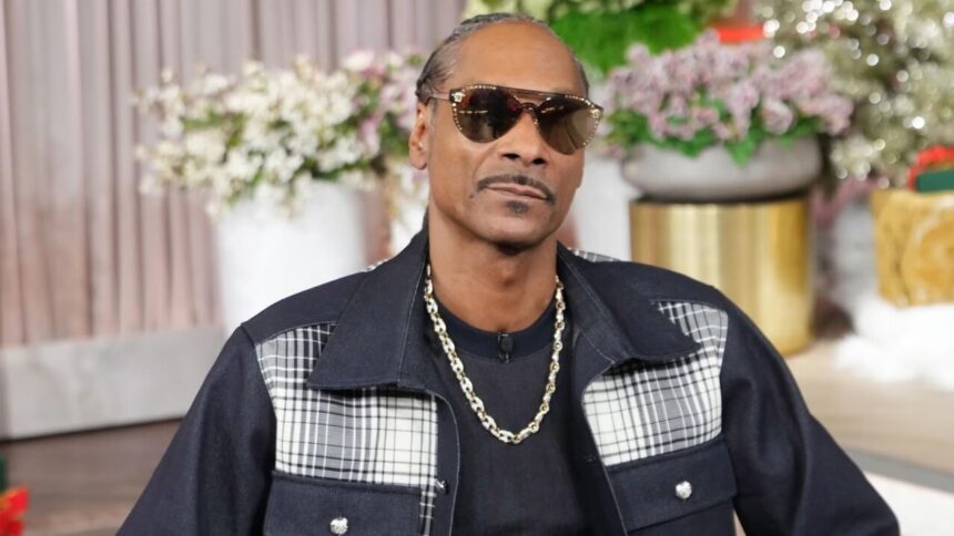 Snoop Dogg Vermögen