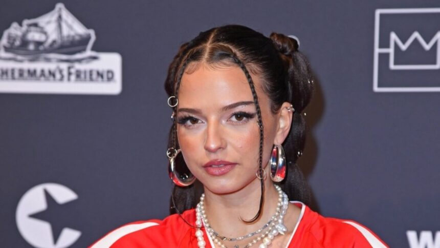 Nina Chuba Vermögen