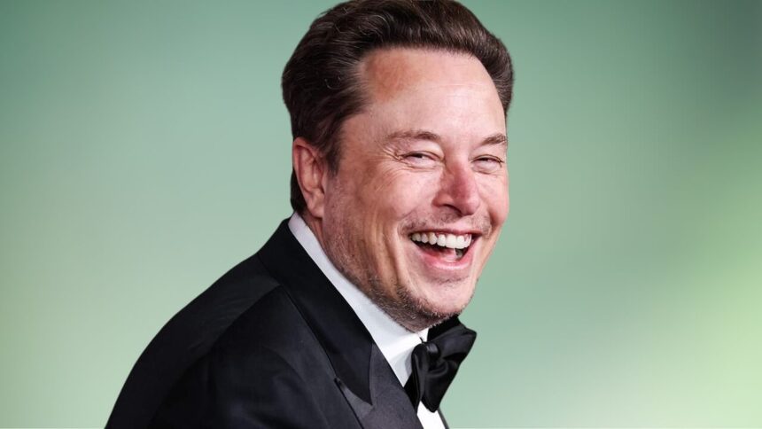 Elon Musk Vermögen