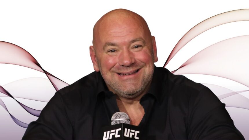 Dana White Vermögen