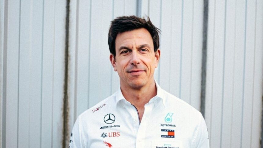 Toto Wolff Vermögen