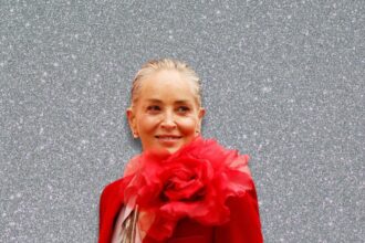 Sharon Stone Vermögen 2026