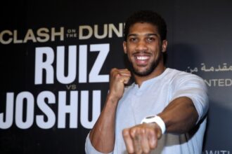 Anthony Joshua Vermögen 2026